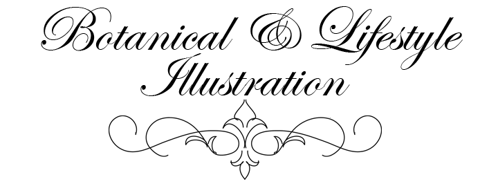 Botanical & Lifestyle Illustration